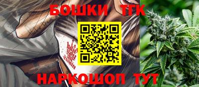 гидра Славгород
