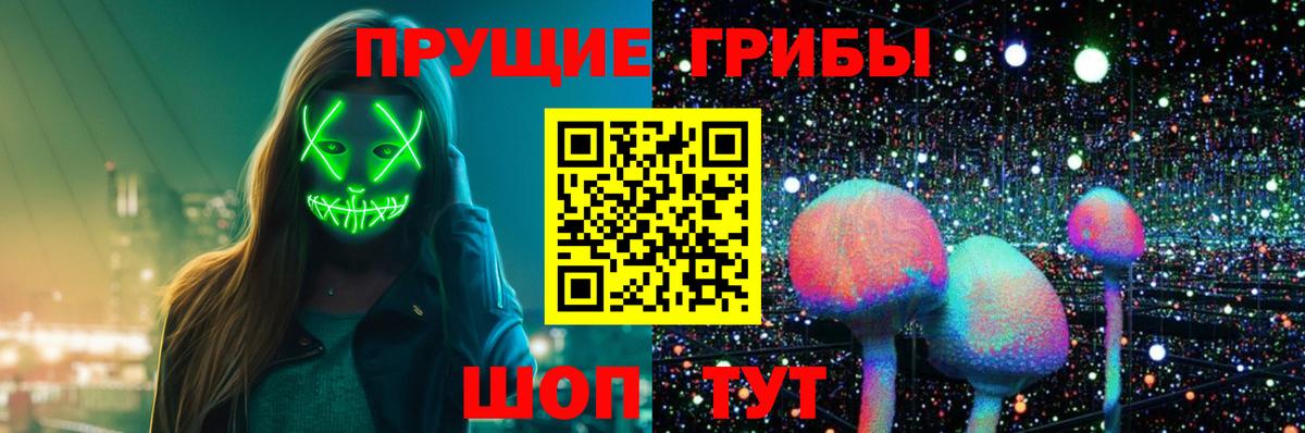 Нижнеудинск  Псилоцибиновые грибы Magic Shrooms  купить наркотик  Вход с VPN 