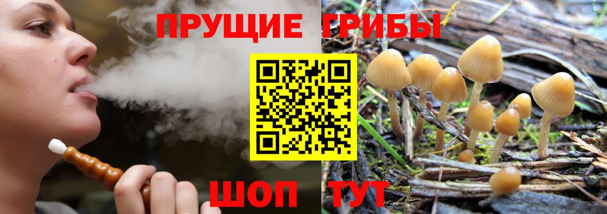 Галлюциногенные грибы Magic Shrooms Нижнеудинск